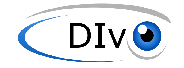 the DIvO Study Staff Community